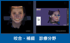 咬合・補綴 診療分野